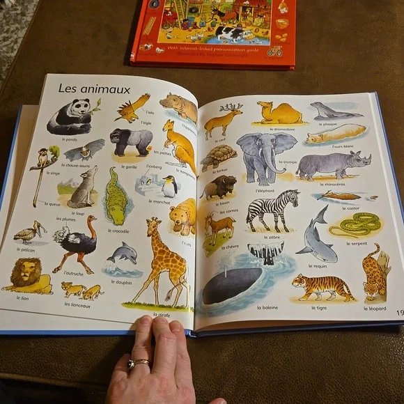 First Thousands Words in Spanish and French - Picture 3 of 7